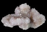 Cactus Quartz (Amethyst) Crystal Cluster - South Africa #137775-1